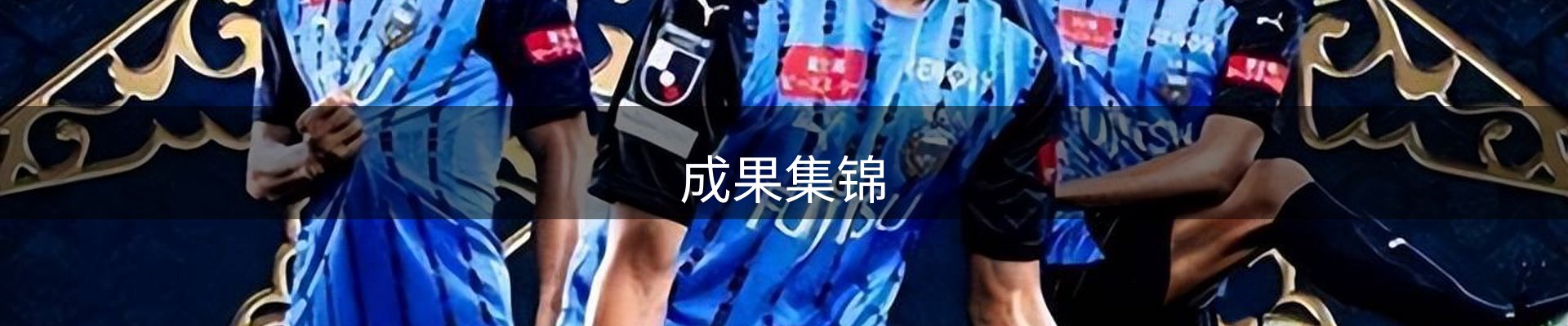 成果集锦